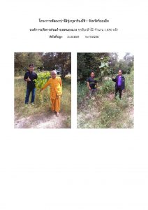 โครงการพัฒนาป่าไม้ทุ่งกุลาร้องไห้ 1 จังหวัดร้อยเอ็ด - แปลงปลูกต้นไม้ 59 แปลงที่ 4