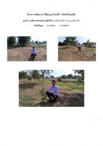 โครงการพัฒนาป่าไม้ทุ่งกุลาร้องไห้ 1 จังหวัดร้อยเอ็ด - แปลงปลูกต้นไม้ 59 แปลงที่ 5