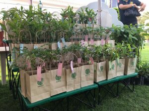 %e0%b8%a7%e0%b8%b1%e0%b8%99%e0%b8%ad%e0%b8%99%e0%b8%b8%e0%b8%a3%e0%b8%b1%e0%b8%81%e0%b8%a9%e0%b9%8c%e0%b8%af%e0%b9%80%e0%b8%94%e0%b9%87%e0%b8%81%e0%b9%80%e0%b8%94%e0%b9%87%e0%b8%813