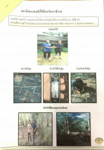 สถานีเพาะชำกล้าไม้จังหวัดนราธิวาส - แปลงปลูกต้นไม้ 59 แปลงที่ 1