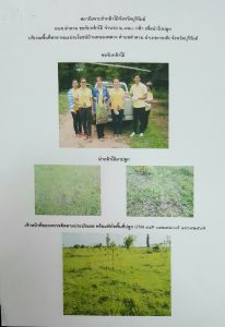 สถานีเพาะชำกล้าไม้จังหวัดบุรีรัมย์ - แปลงปลูกต้นไม้59 แปลงที่ 1