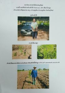 สถานีเพาะชำกล้าไม้จังหวัดบุรีรัมย์ - แปลงปลูกต้นไม้59 แปลงที่ 2