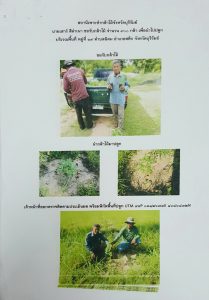 สถานีเพาะชำกล้าไม้จังหวัดบุรีรัมย์ - แปลงปลูกต้นไม้59 แปลงที่ 3