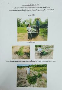 สถานีเพาะชำกล้าไม้จังหวัดบุรีรัมย์ - แปลงปลูกต้นไม้59 แปลงที่ 5