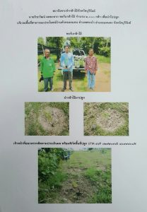 สถานีเพาะชำกล้าไม้จังหวัดบุรีรัมย์ - แปลงปลูกต้นไม้59 แปลงที่ 9