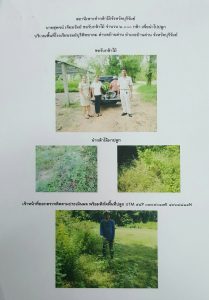 สถานีเพาะชำกล้าไม้จังหวัดบุรีรัมย์ - แปลงปลูกต้นไม้59 แปลงที่ 10