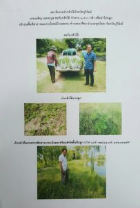 สถานีเพาะชำกล้าไม้จังหวัดบุรีรัมย์ - แปลงปลูกต้นไม้59 แปลงที่ 12