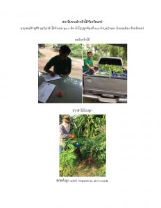 สถานีเพาะชำกล้าไม้จังหวัดแพร่- แปลงปลูกต้นไม้59