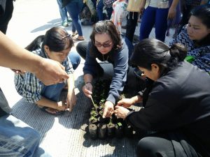 ครูกล้าไม้ - สถานีเพาะชำกล้าไม้แม่สอด จังหวัดตาก -3