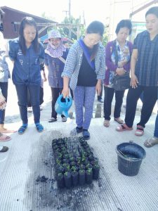 ครูกล้าไม้ - สถานีเพาะชำกล้าไม้แม่สอด จังหวัดตาก -5