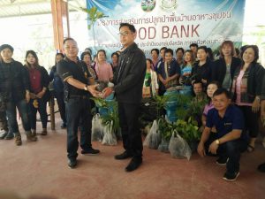 ครูกล้าไม้ - สถานีเพาะชำกล้าไม้แม่สอด จังหวัดตาก -7