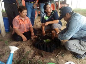 ครูกล้าไม้-สถานีเพาะชำกล้าไม้จังหวัดอุตรดิตถ์ - 5