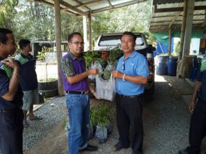 ครูกล้าไม้-สถานีเพาะชำกล้าไม้จังหวัดอุตรดิตถ์ - 6