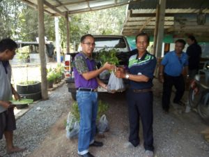 ครูกล้าไม้-สถานีเพาะชำกล้าไม้จังหวัดอุตรดิตถ์ - 7