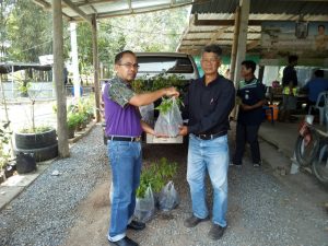 ครูกล้าไม้-สถานีเพาะชำกล้าไม้จังหวัดอุตรดิตถ์ - 8