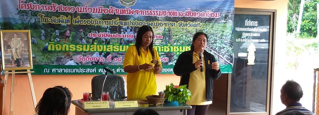 ครูกล้าไม้ – สถานีเพาะชำกล้าไม้จังหวัดตรัง -3