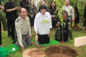 fb_img_1484840266391