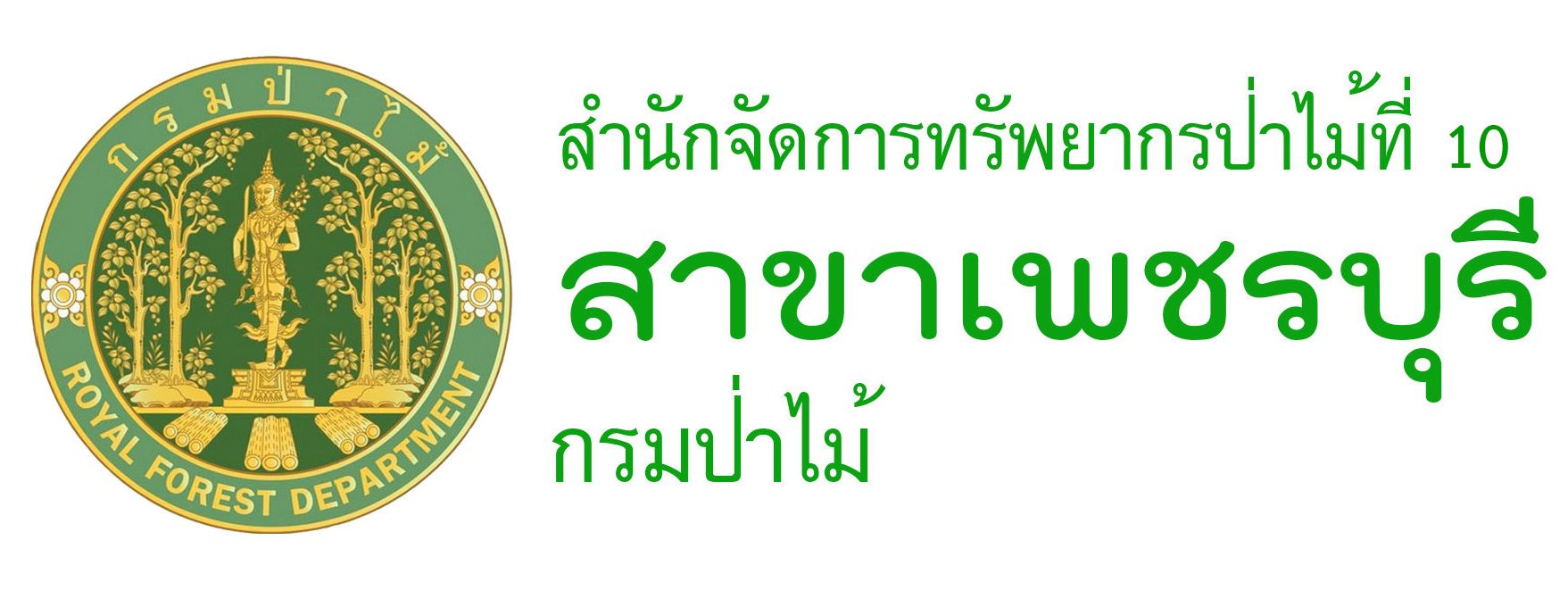 กลับไปหน้าแรก