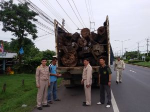 13529216_539647766223644_7157037243916179825_n