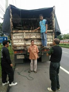 13567188_539647702890317_4380368463450459332_n