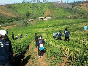 13606832_542472279274526_3305489754524194901_n