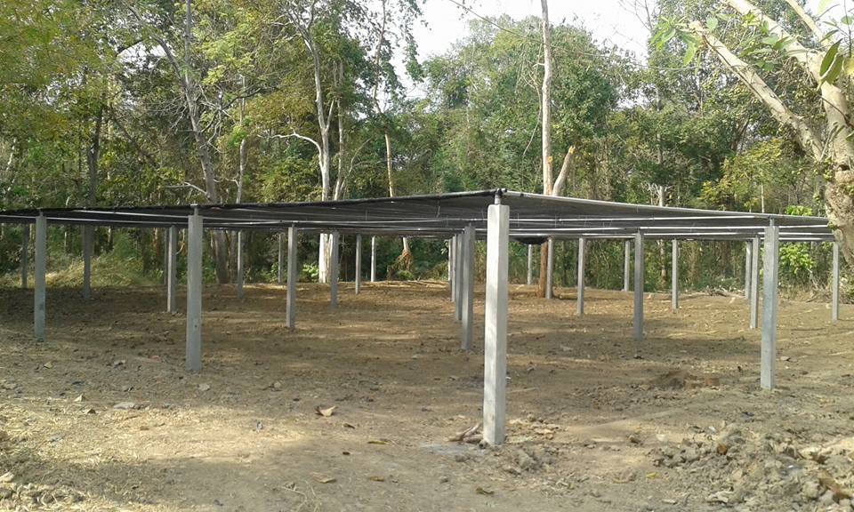 Steel Structure 29 29