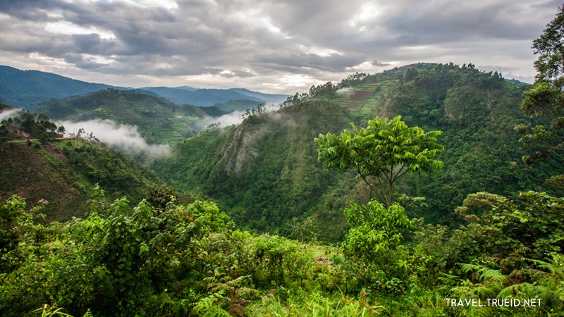 NouabaleNdokiNationalPark สำนักแผนงานและสารสนเทศ
