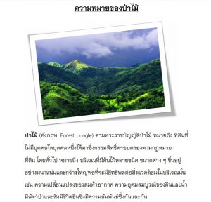 ความหมายของป่าไม้