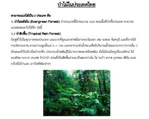 ป่าในไทย