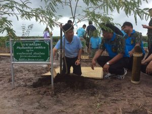 14141855_1766090963679876_1168587006013941166_n