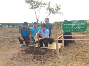 14222108_1766091233679849_5407639932752504115_n