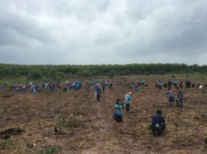 14222273_1766091300346509_7159329522643888874_n