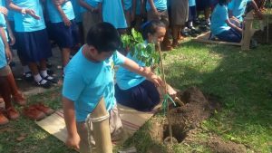 14225620_1766092347013071_3469586221144961826_n