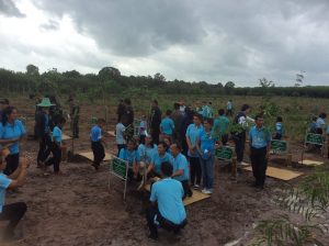 14233066_1766091010346538_5637285819933982482_n