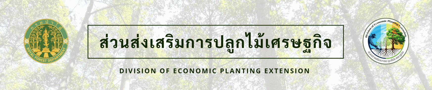 ส่วนส่งเสริมการปลูกไม้เศรษฐกิจ
