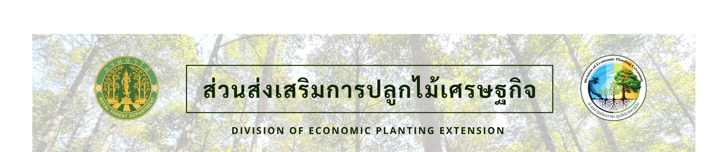 ส่วนส่งเสริมการปลูกไม้เศรษฐกิจ