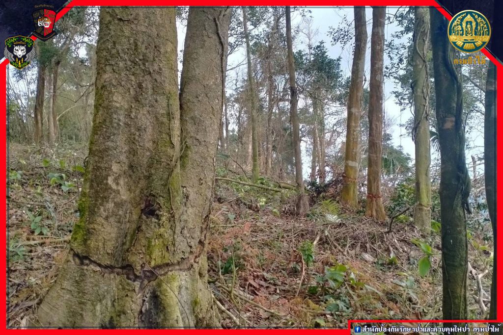 เจ้าหน้าที่ตรวจสอบพื้นที่บริเวณบ้านหน้าไทร