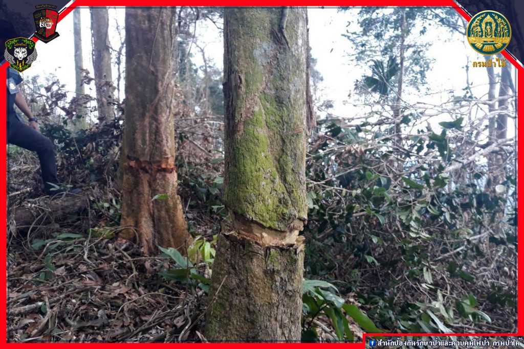 เจ้าหน้าที่ตรวจสอบพื้นที่บริเวณบ้านหน้าไทร