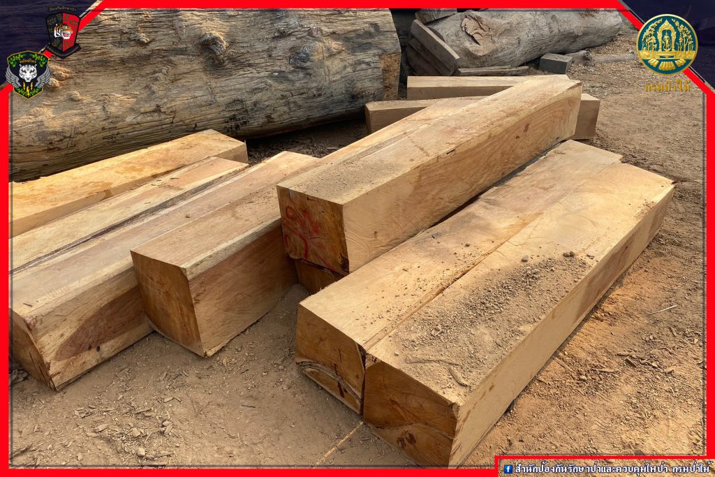 ตรวจสอบไม้ประดู่ จ.ชัยภูมิ