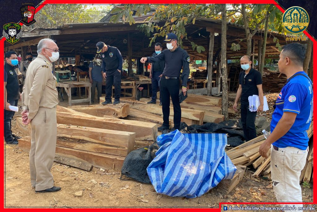 ตรวจสอบไม้ประดู่ จ.ชัยภูมิ