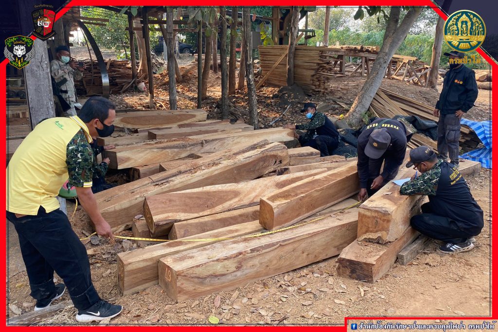 ตรวจสอบไม้ประดู่ จ.ชัยภูมิ