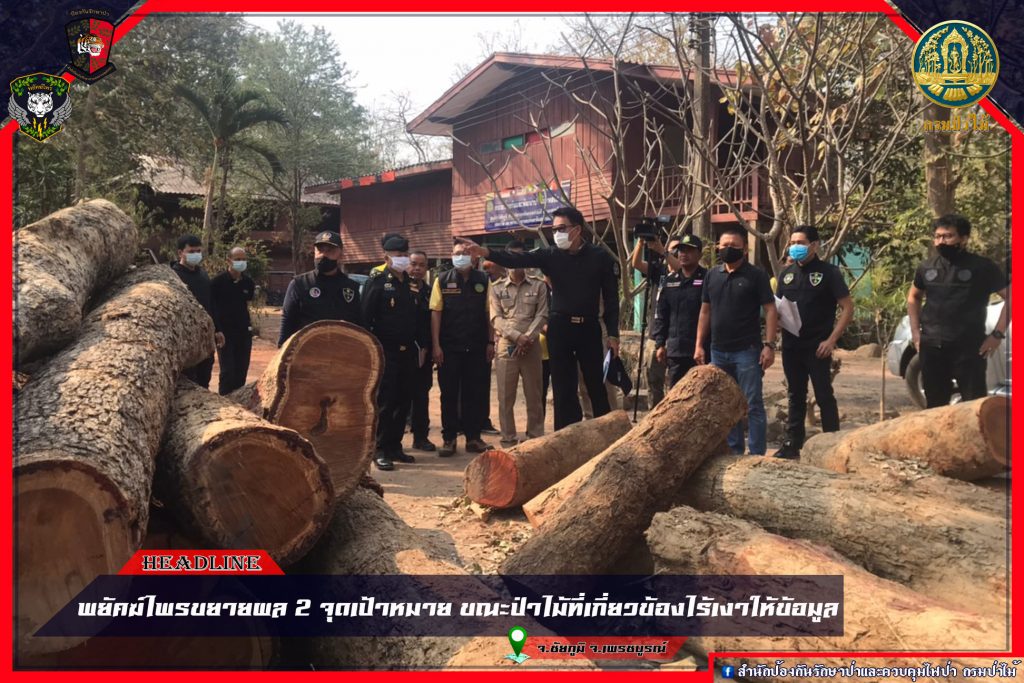 ตรวจสอบไม้ประดู่ จ.ชัยภูมิ