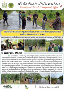 สปน.ลงพื้นที่เพื่อประสานการปฏิบัติงานเกี่ยวกับการก่อสร้างสิ่งอำนวยความสะดวกและจัดทำผังบริเวณ (Site Plan) โครงการพัฒนาพื้นที่เตรียมการป่านันทนาการป่าสนเหมืองแร่ จ.ประจวบคีรีขันธ์ (9 ก.ย.68)
