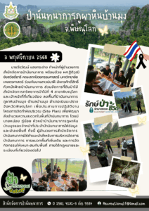 สปน.ลงพื้นที่ป่านันทนาการภูผาหินบ้านมุง จ.พิษณุโลก เพื่อประสานการปฏิบัติงานโครงการจัดทำผังบริเวณ (Site Plan) (3 พ.ย.68)