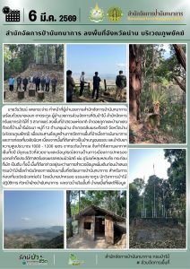 สปน.ลงพื้นที่ป่าสงวนแห่งชาติ จ.น่าน บริเวณภูพยัคฆ์ สำรวจพื้นที่ก่อนดำเนินการเสนอโครงการพัฒนาพื้นที่เตรียมการฯ (6 มี.ค.69)