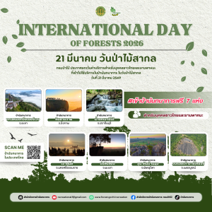 21 มีนาคม วันป่าไม้สากล (International Day of Forests)