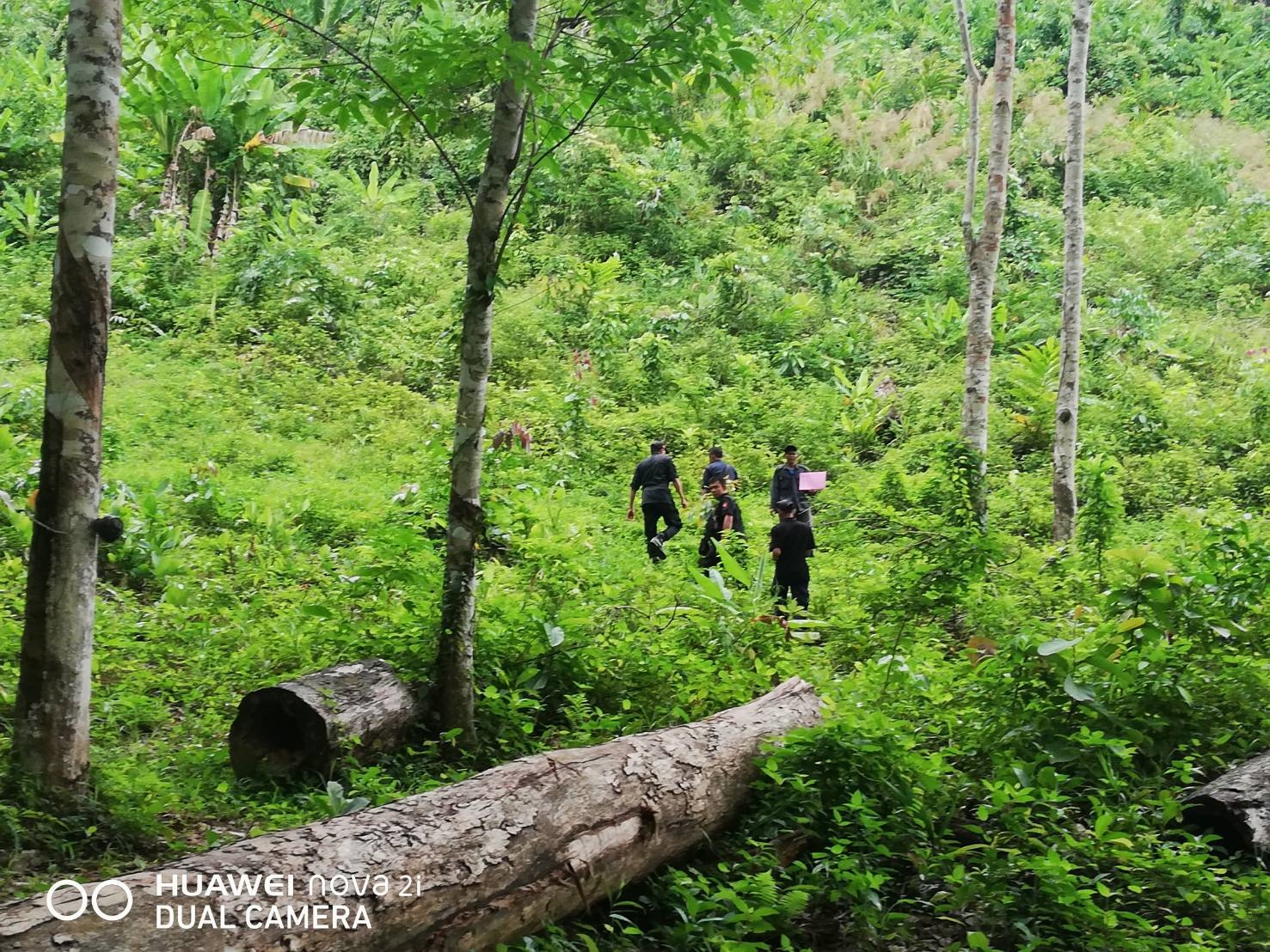 สำนักจัดการทรัพยากรป่าไม้ที่ 13 (สงขลา) โดยหน่วยป้องกันรักษาป่าที่ สต.1 (ทุ่งนุ้ย) ได้ออกลาดตระเวนตรวจปราบปรามการกระทำผิดกฏหมายว่าด้วยการป่าไม้