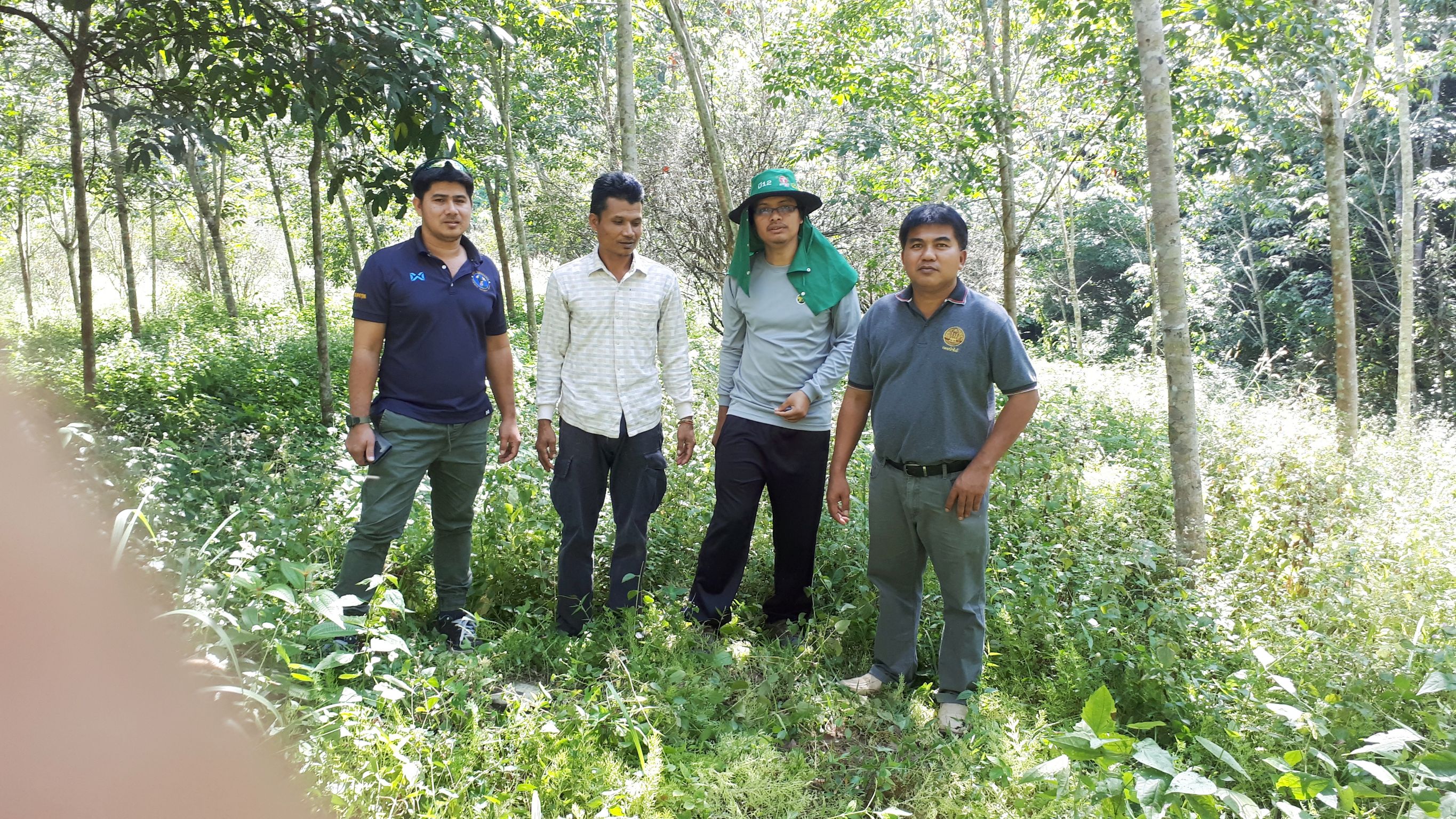สำรวจรังวัดแปลงดิน อาสินที่ได้ทำประโยชน์แล้ว ในเขตป่าสงวนฯป่าเขาแดน ป่าควนเจดีย์ ฯ