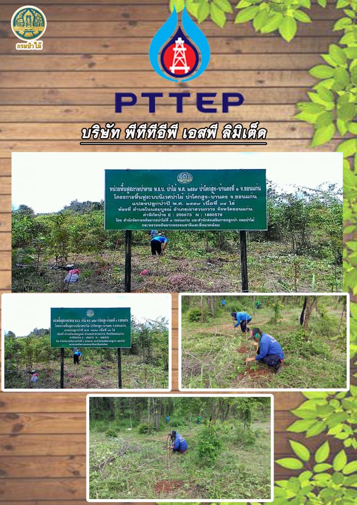 pttep-1