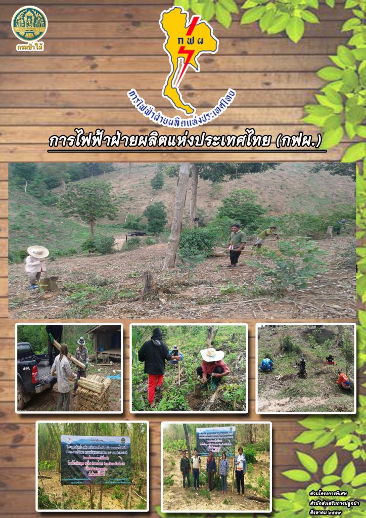 %e0%b8%81%e0%b8%9f%e0%b8%9c